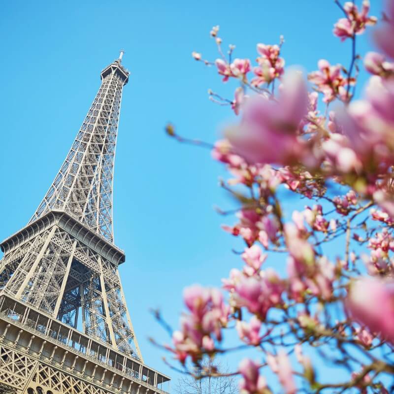 Guia de Viagem de Luxo em Paris: Uma Experiência Inesquecível na Cidade Luz