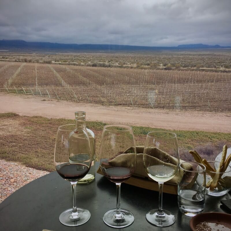 Do Campo à Taça: Descobrindo Vinhos Autênticos de Produtores Pequenos