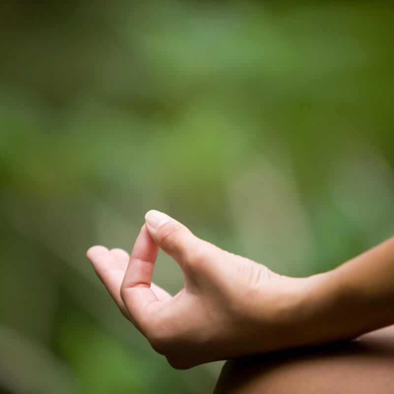 Santuários de Ioga: destinos sagrados para a prática de ioga