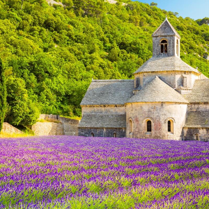 Lua de Mel na Provence: Roteiro Romântico pelos Castelos