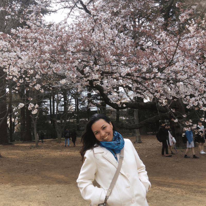 Viaje a Japón: un viaje inolvidable por las tierras del sol naciente