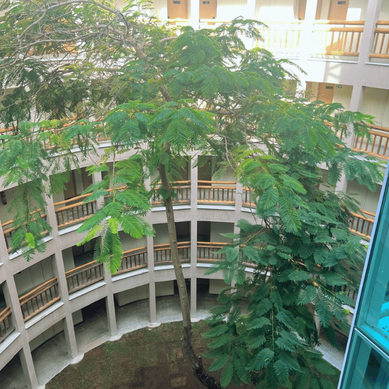 Costeira Palace Resort: Resort em Natal All Inclusive para a Família